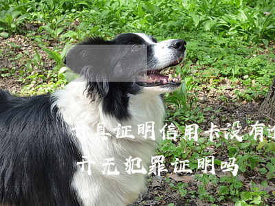 开具证明信用卡没有逾期证明(欠信用卡可以开无犯罪证明吗)
