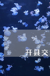 开县交通事故鉴定哪里可以做