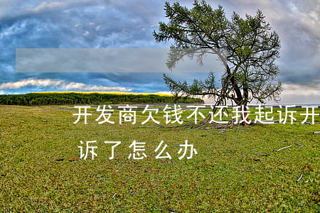 开发商欠钱不还我起诉 开发商欠钱不还我起诉了怎么办
