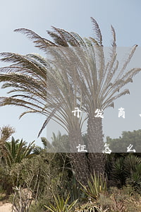 开发商欠银行钱(开发商欠银行钱办不了房产证怎么办)