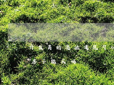 开发商的违法建筑可以拍卖吗(开发商拍卖的房子能买吗)