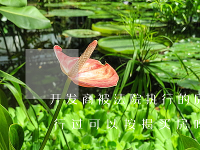 开发商被法院执行的房子可以买吗(被法院执行过可以按揭买房吗)