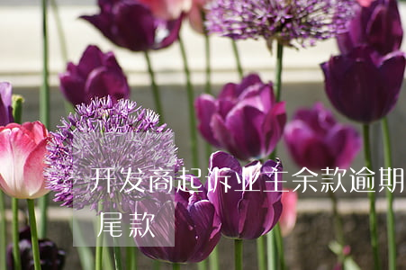 开发商起诉业主余款逾期(开发商告业主逾期尾款)