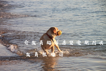 开发商起诉房贷逾期判决书(房贷逾期我和开发商被起诉)