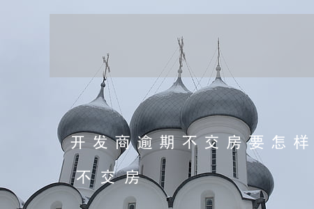 开发商逾期不交房要怎样起诉(告开发商逾期不交房)