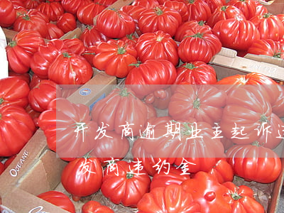 开发商逾期业主起诉违约金(业主集体起诉开发商违约金)