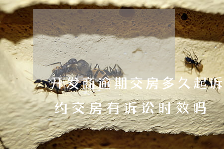 开发商逾期交房多久起诉有效(起诉开发商违约交房有诉讼时效吗)