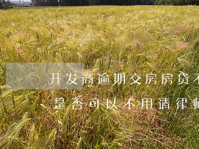 开发商逾期交房房贷不交(告开发商逾期交房是否可以不用请律师)