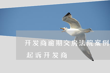开发商逾期交房法院案例(逾期交房业主集体起诉开发商)