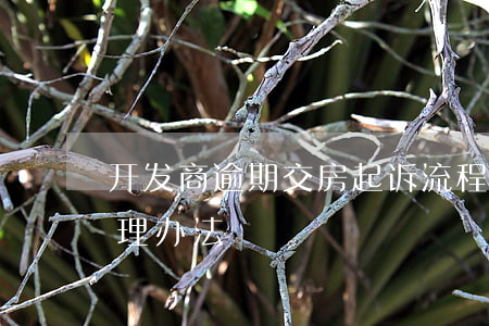 开发商逾期交房起诉流程(开发商逾期交房处理办法)