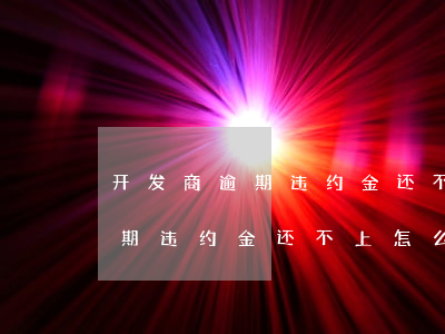 开发商逾期违约金还不上怎么办-开发商逾期违约金还不上怎么办呢