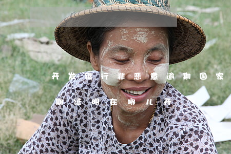 开发银行非恶意逾期(国家开发银行非恶意逾期证明在哪儿开)