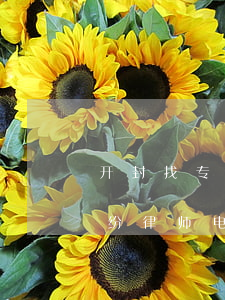 开封找专业债务纠纷律师(开封找专业债务纠纷律师电话)