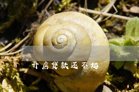 开店贷款还不起