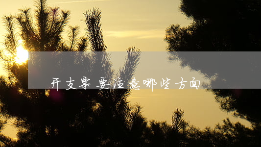 开支票要注意哪些方面