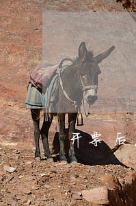 开票后发生销货退回时发票能否作废