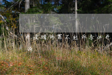 开设赌场罪不起诉条件(开设赌场罪从犯不起诉)