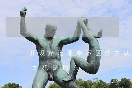 开设赌场罪中不区分主从犯(开设赌场罪不是主犯是股东)