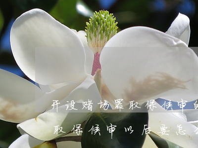 开设赌场罪取保候审的可能性大么(开设赌场取保候审以后要怎么办)
