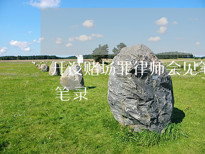 开设赌场罪律师会见笔录(赌博案件证人询问笔录)