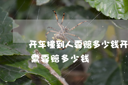 开车撞到人要赔多少钱(开车撞了人,人没事还需要赔多少钱)