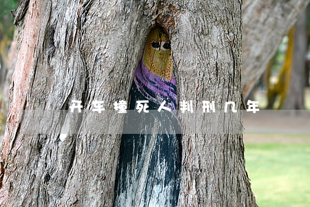 开车撞死人判刑几年