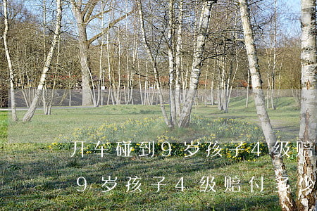 开车碰到9岁孩子4级赔付多少钱(开车碰到9岁孩子4级赔付多少钱)