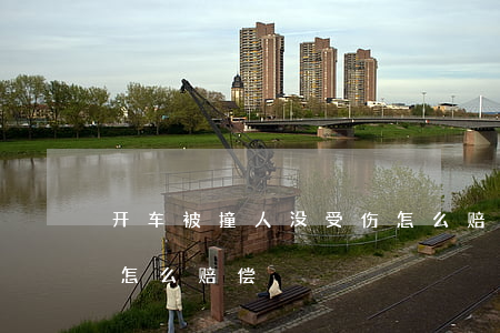 开车被撞人没受伤怎么赔偿(被车撞了人没事怎么赔偿)