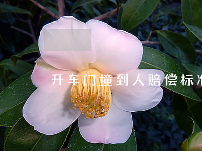 开车门撞到人赔偿标准是怎样的