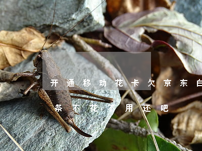 开通移动花卡欠京东白条(不小心开通京东白条不花不用还吧)