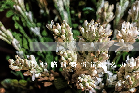 异地临时身份证怎么办理