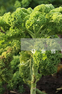 异地借钱不还能起诉吗(异地借钱不还怎么办)