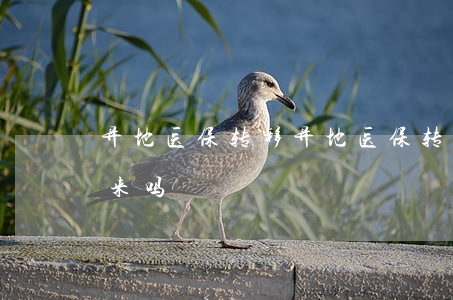 异地医保转移(异地医保转移账户余额能提出来吗)