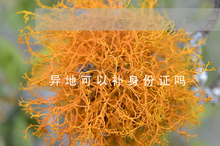 异地可以补身份证吗