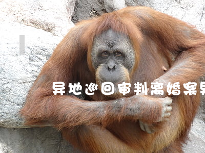 异地巡回审判离婚案(异地巡回审判离婚案)