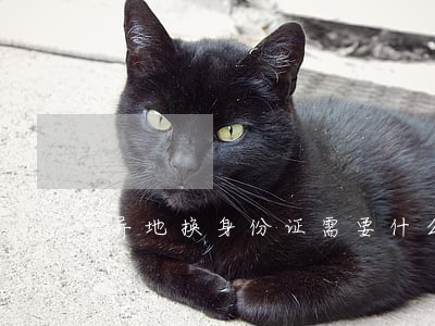 异地换身份证需要什么材料