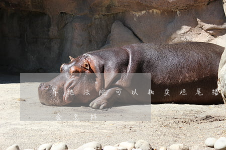 异地法院可以拍卖烂尾楼吗(烂尾楼被拍卖了会怎样)