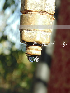 异地补办身份证要带啥(异地补办身份证要带啥)
