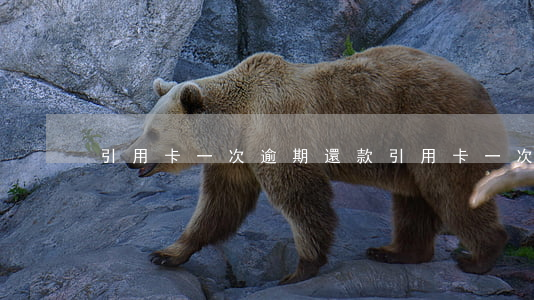 引用卡一次逾期還款(引用卡一次逾期還款)
