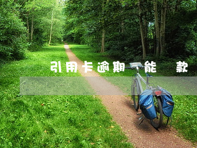 引用卡逾期還能貸款嗎(借記卡逾期影響貸款嗎)