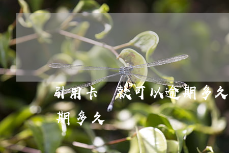 引用卡還款可以逾期多久(引用卡還款可以逾期多久)