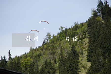 引用網絡圖片侵權嗎
