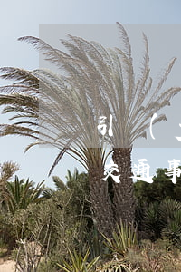 引發(fā)的交通事故怎么判責(zé)(交通事故交警判責(zé)任)