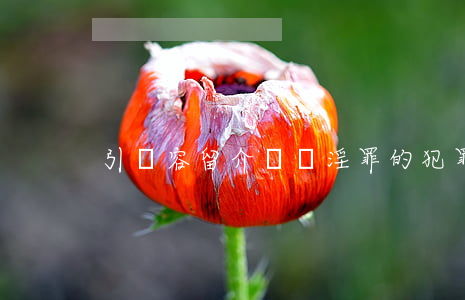 引誘容留介紹賣淫罪的犯罪構(gòu)成