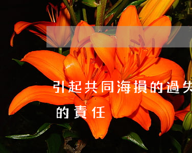 引起共同海損的過失方應(yīng)承擔的責任