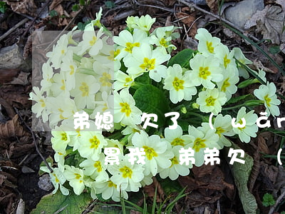 弟媳婦欠了網(wǎng)貸會(huì)連累我嗎(弟弟欠網(wǎng)貸,姐姐會(huì)受牽連嗎?)