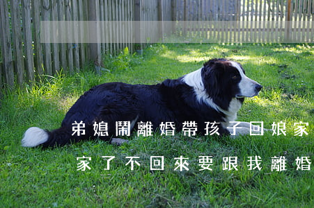 弟媳鬧離婚帶孩子回娘家(媳婦帶著孩子回娘家了不回來要跟我離婚)