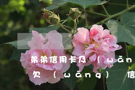 弟弟信用卡及網(wǎng)貸欠了二十萬(欠網(wǎng)貸信用卡五十多萬)