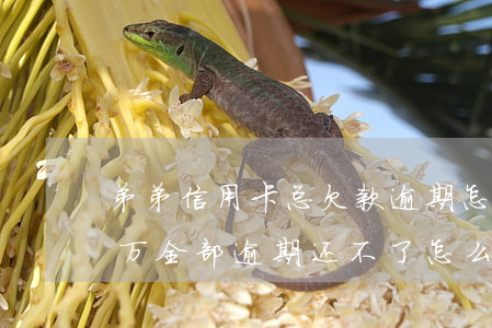 弟弟信用卡总欠款逾期怎么办(欠信用卡几十万全部逾期还不了怎么办)