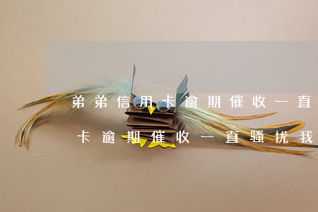 弟弟信用卡逾期,催收一直骚扰我-弟弟信用卡逾期,催收一直骚扰我怎么办